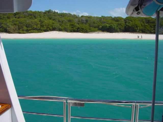 Whitsunday Islands: ballando con le balene