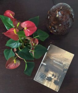 Shantaram, di Gregory David Roberts