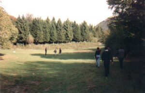 Un pomeriggio da Heidi sul Lago di Como