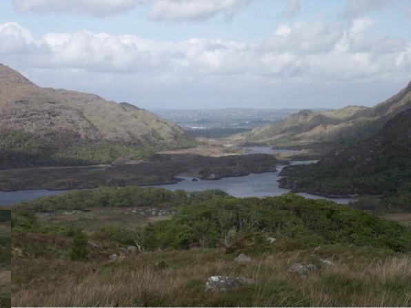 vie del Kerry
