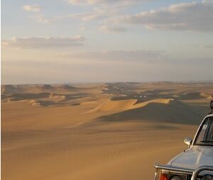 Egitto. Dakla e Siwa