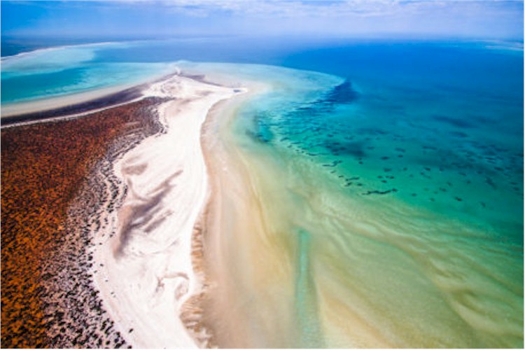 Western Australia. Sapete quante volte mi sono chiesto